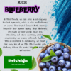 Millet Marvella Millet Milk Chocolate with Blueberry (2) Prishigo- Millet Marvella™ Millet Milk Chocolate with Blueberry (38% Cocoa, Jaggery Sweetened) – 50g